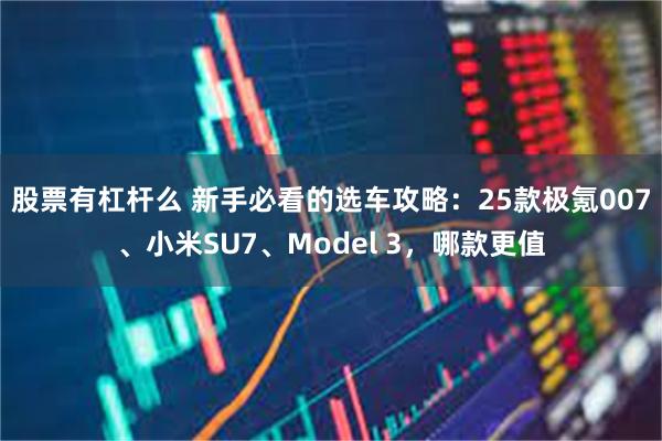 股票有杠杆么 新手必看的选车攻略：25款极氪007、小米SU7、Model 3，哪款更值