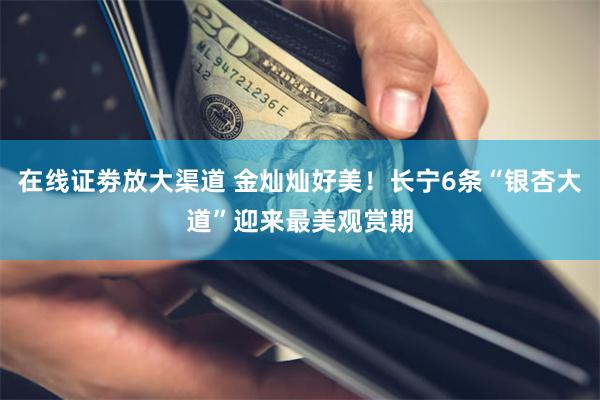 在线证劵放大渠道 金灿灿好美！长宁6条“银杏大道”迎来最美观赏期