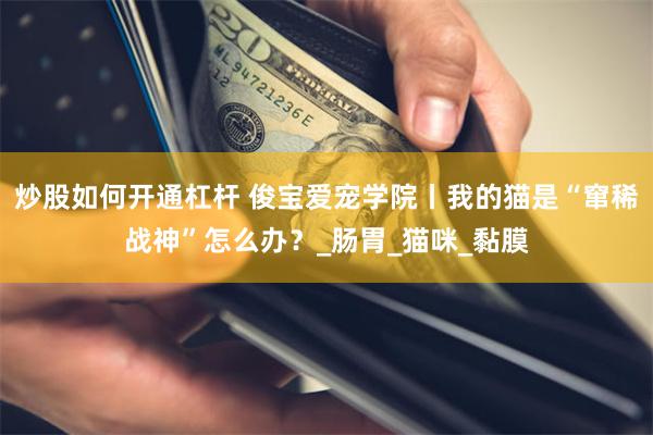 炒股如何开通杠杆 俊宝爱宠学院丨我的猫是“窜稀战神”怎么办？_肠胃_猫咪_黏膜