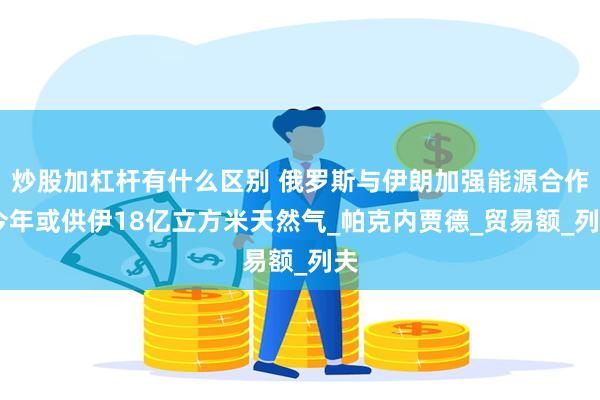 炒股加杠杆有什么区别 俄罗斯与伊朗加强能源合作 今年或供伊18亿立方米天然气_帕克内贾德_贸易额_列夫