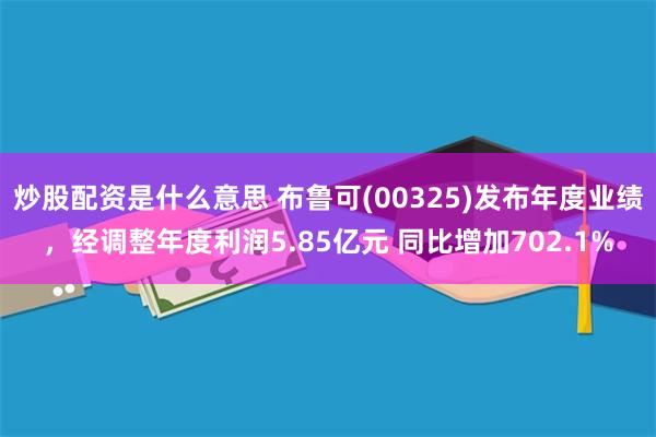 炒股配资是什么意思 布鲁可(00325)发布年度业绩，经调整年度利润5.85亿元 同比增加702.1%