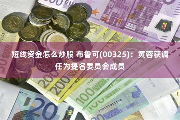 短线资金怎么炒股 布鲁可(00325)：黄蓉获调任为提名委员会成员
