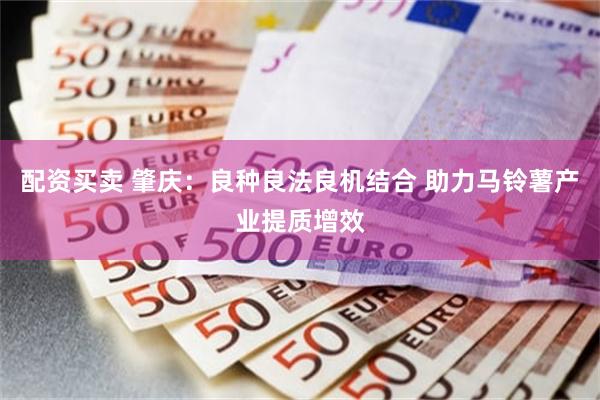 配资买卖 肇庆：良种良法良机结合 助力马铃薯产业提质增效
