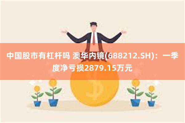 中国股市有杠杆吗 澳华内镜(688212.SH)：一季度净亏损2879.15万元