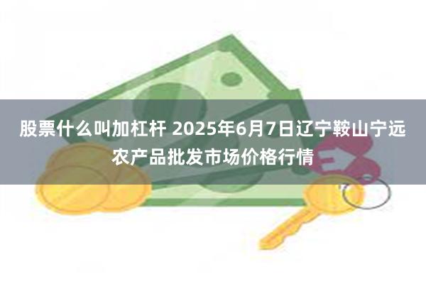股票什么叫加杠杆 2025年6月7日辽宁鞍山宁远农产品批发市场价格行情