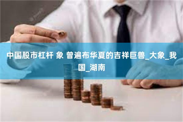 中国股市杠杆 象 曾遍布华夏的吉祥巨兽_大象_我国_湖南