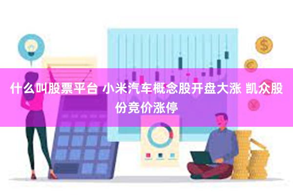 什么叫股票平台 小米汽车概念股开盘大涨 凯众股份竞价涨停