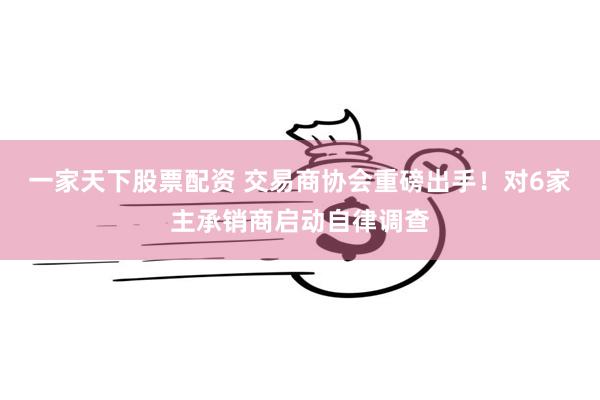 一家天下股票配资 交易商协会重磅出手！对6家主承销商启动自律调查