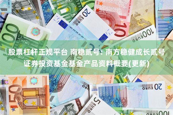 股票杠杆正规平台 南稳贰号: 南方稳健成长贰号证券投资基金基金产品资料概要(更新)