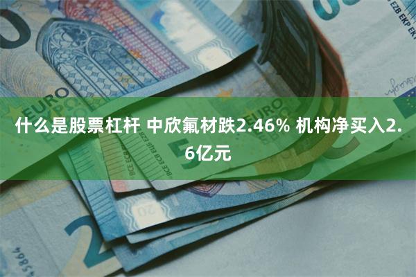什么是股票杠杆 中欣氟材跌2.46% 机构净买入2.6亿元