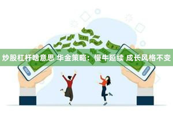 炒股杠杆啥意思 华金策略：慢牛延续 成长风格不变