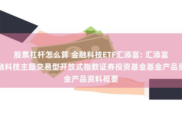 股票杠杆怎么算 金融科技ETF汇添富: 汇添富中证金融科技主题交易型开放式指数证券投资基金基金产品资料概要